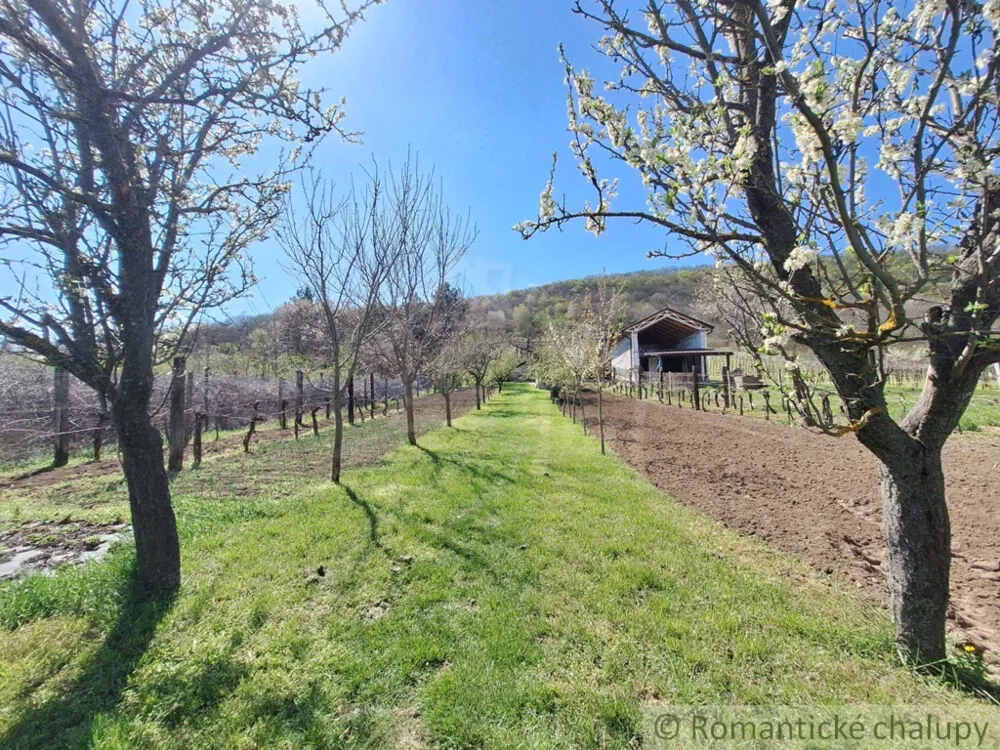 Poľnohosp. objekt na predaj 39m2, Nána, 153739_44