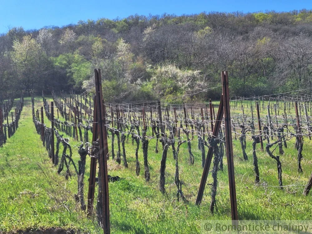 Chata a chalupa na predaj 39m2, Nána, 153740_13