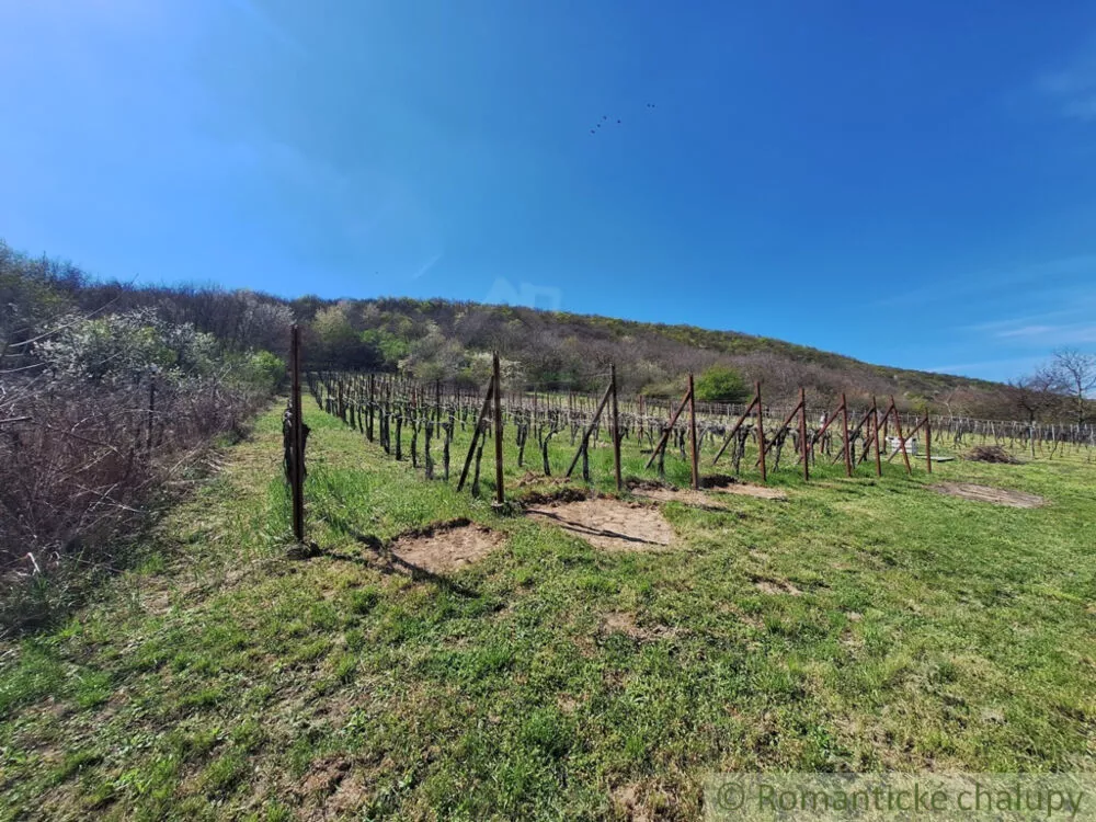 Chata a chalupa na predaj 39m2, Nána, 153740_35