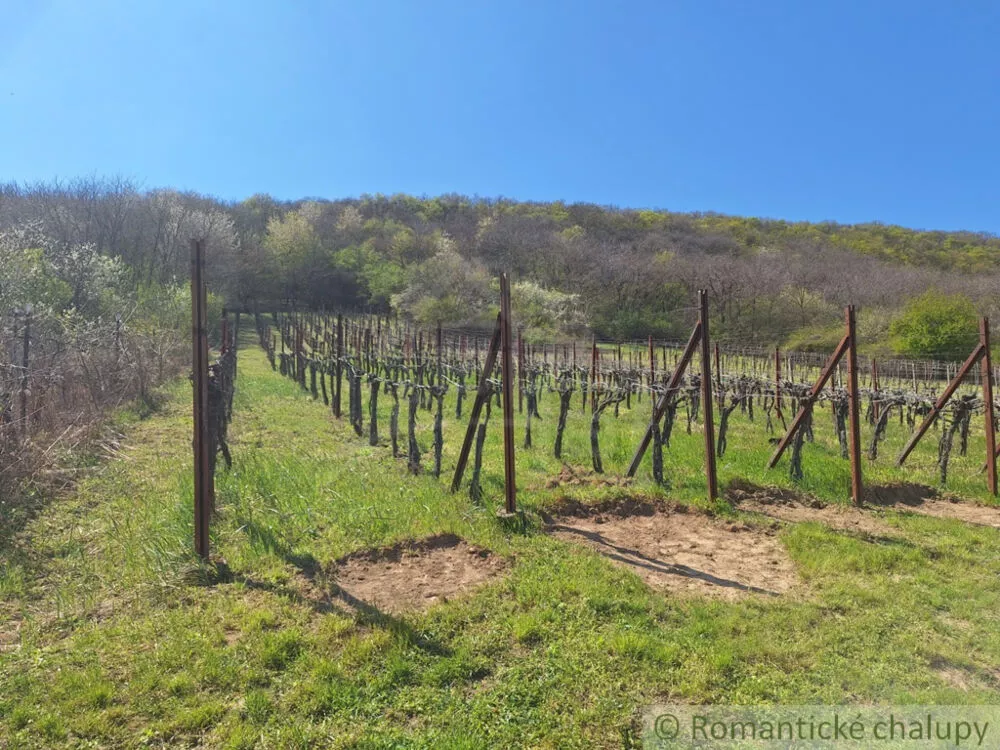 Chata a chalupa na predaj 39m2, Nána, 153740_36