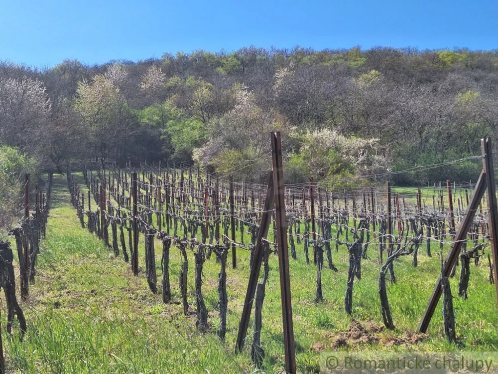 Chata a chalupa na predaj 39m2, Nána, 153740_37