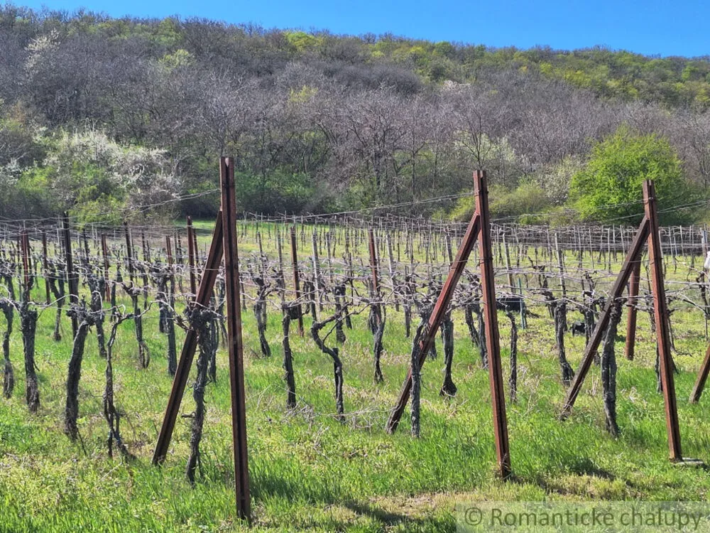 Chata a chalupa na predaj 39m2, Nána, 153740_38