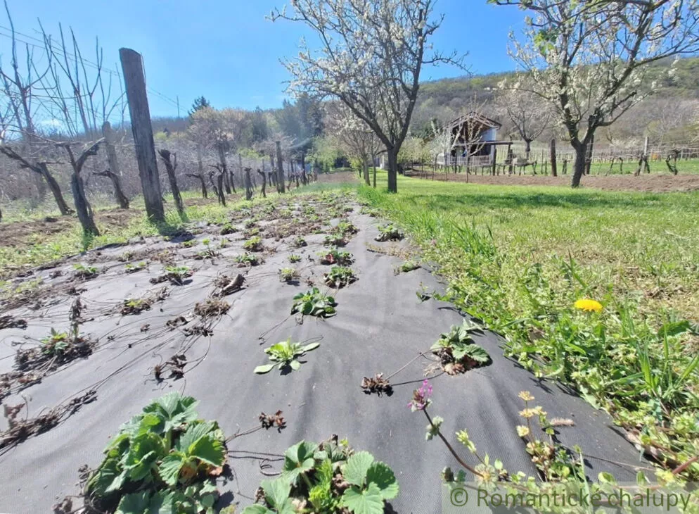 Chata a chalupa na predaj 39m2, Nána, 153740_41