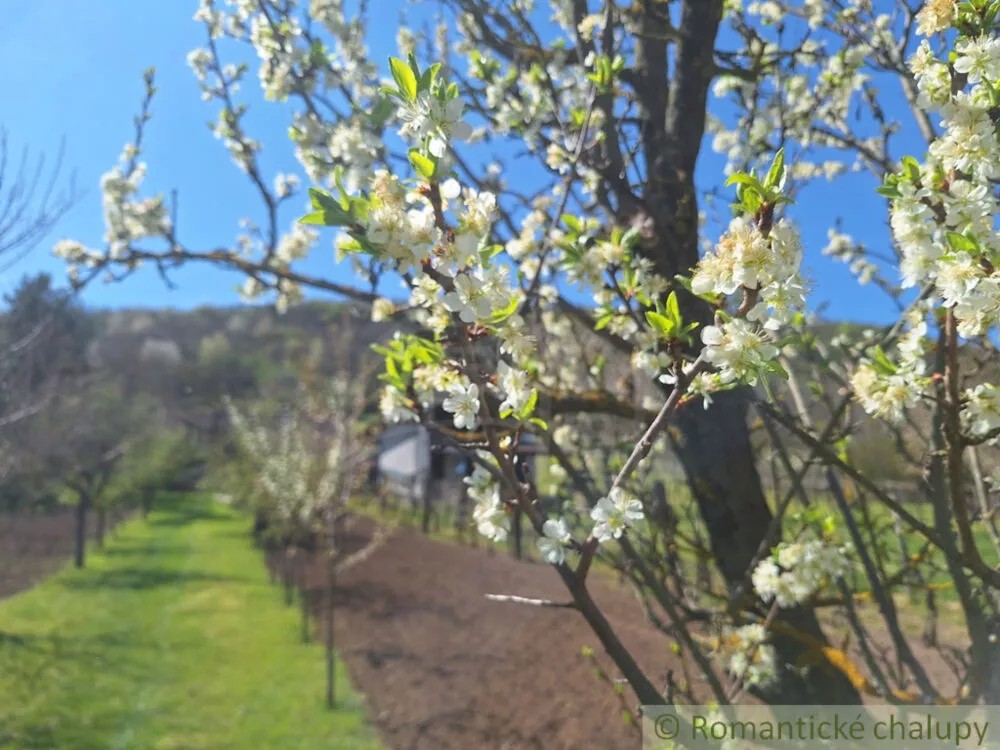Chata a chalupa na predaj 39m2, Nána, 153740_43