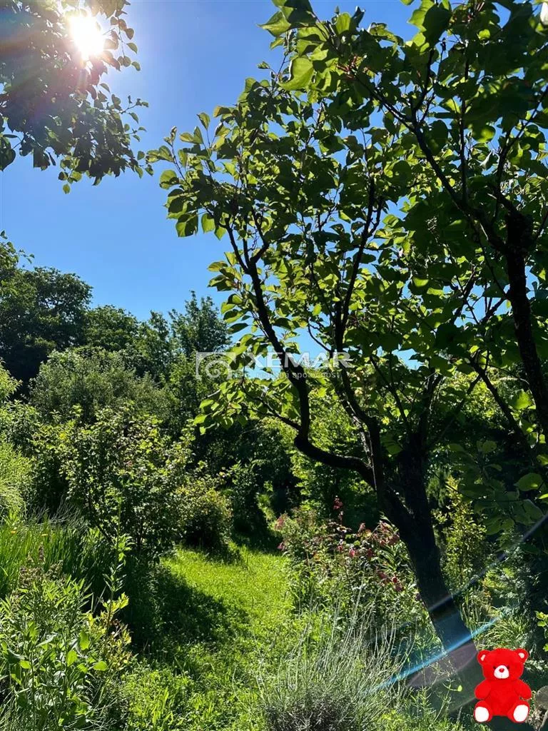 Iný objekt na bývanie na predaj 647m2, Cesta na amfiteáter, Banská Bystrica, 140685_2