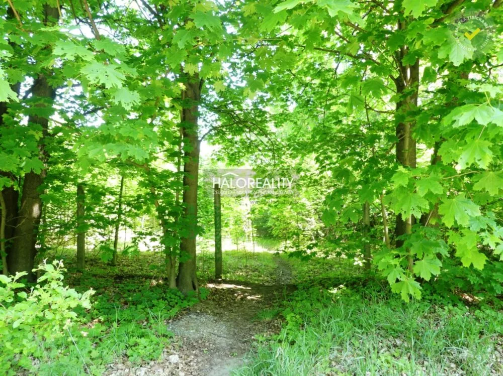 Pozemok pre rod. domy na predaj 5834m2, Trnava, 153975_2