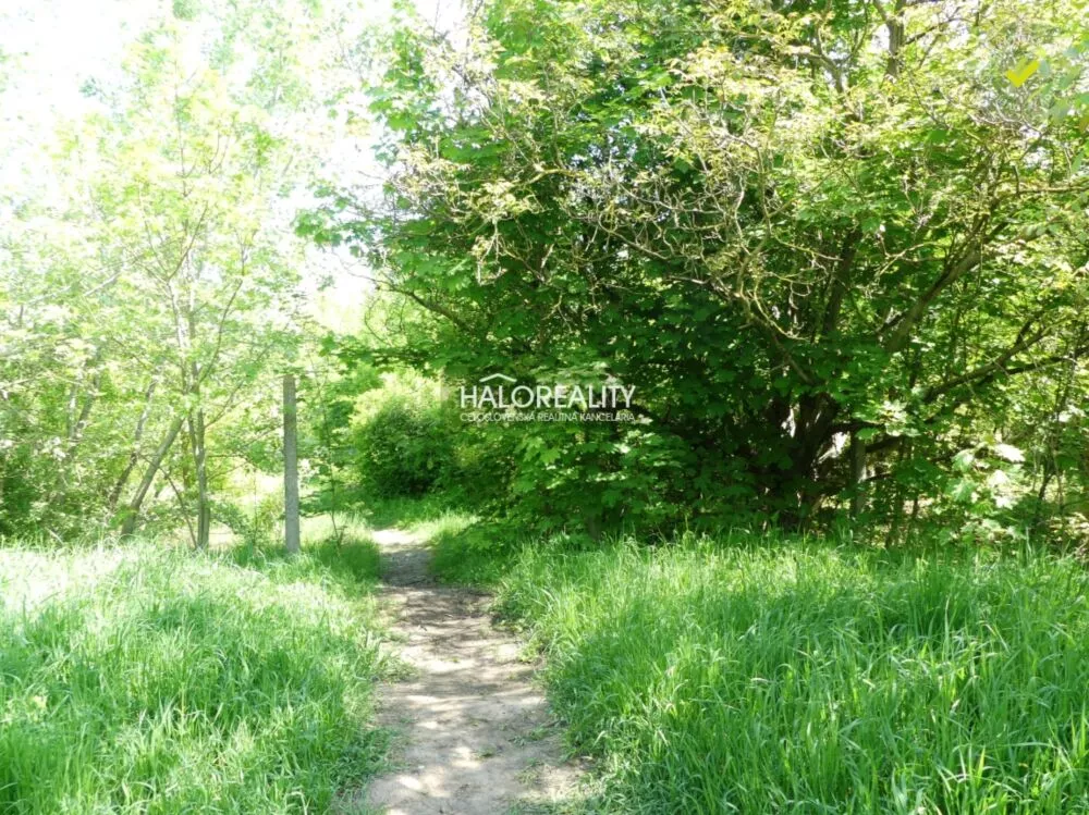 Pozemok pre rod. domy na predaj 5834m2, Trnava, 153975_3