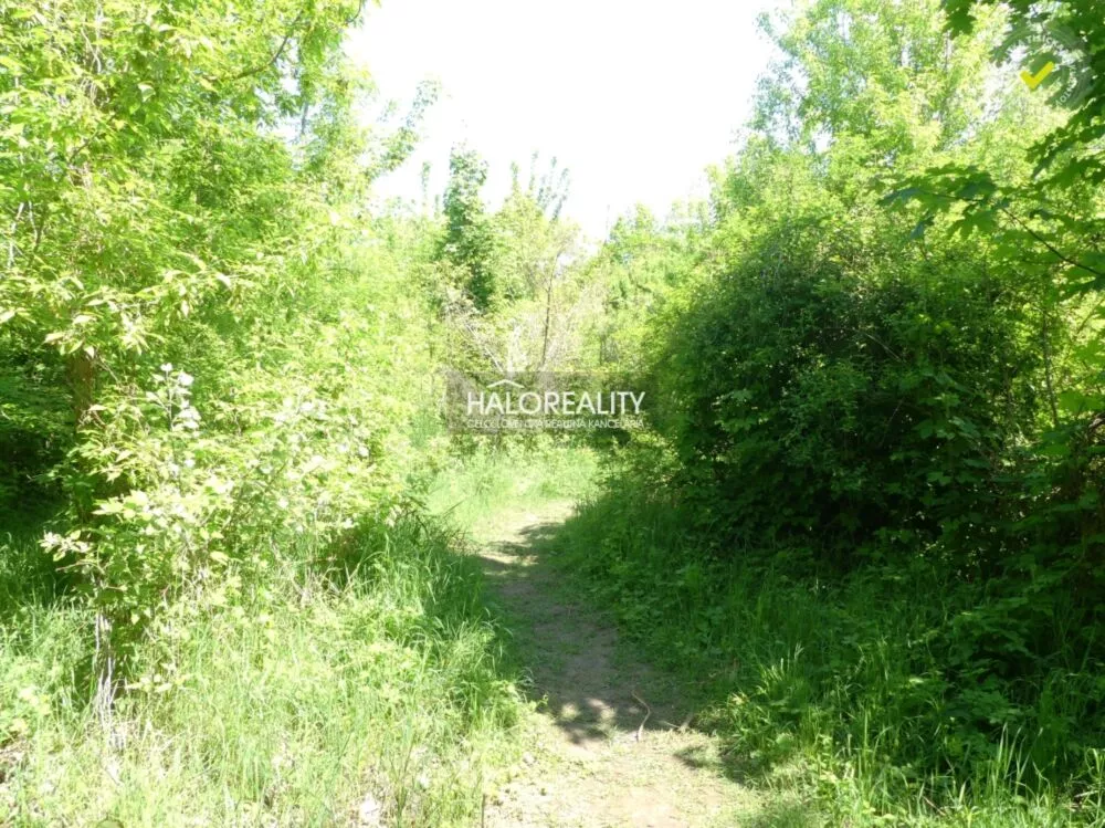 Pozemok pre rod. domy na predaj 5834m2, Trnava, 153975_5