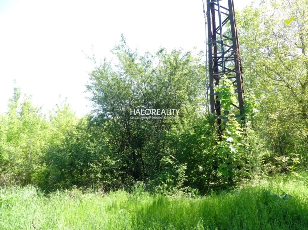 Pozemok pre rod. domy na predaj 5834m2, Trnava, 153975_6