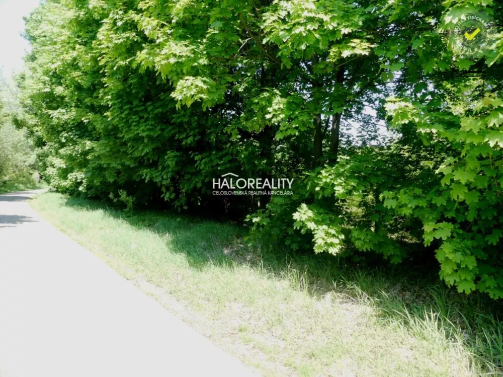 Pozemok pre rod. domy na predaj 5834m2, Trnava, 153975_7