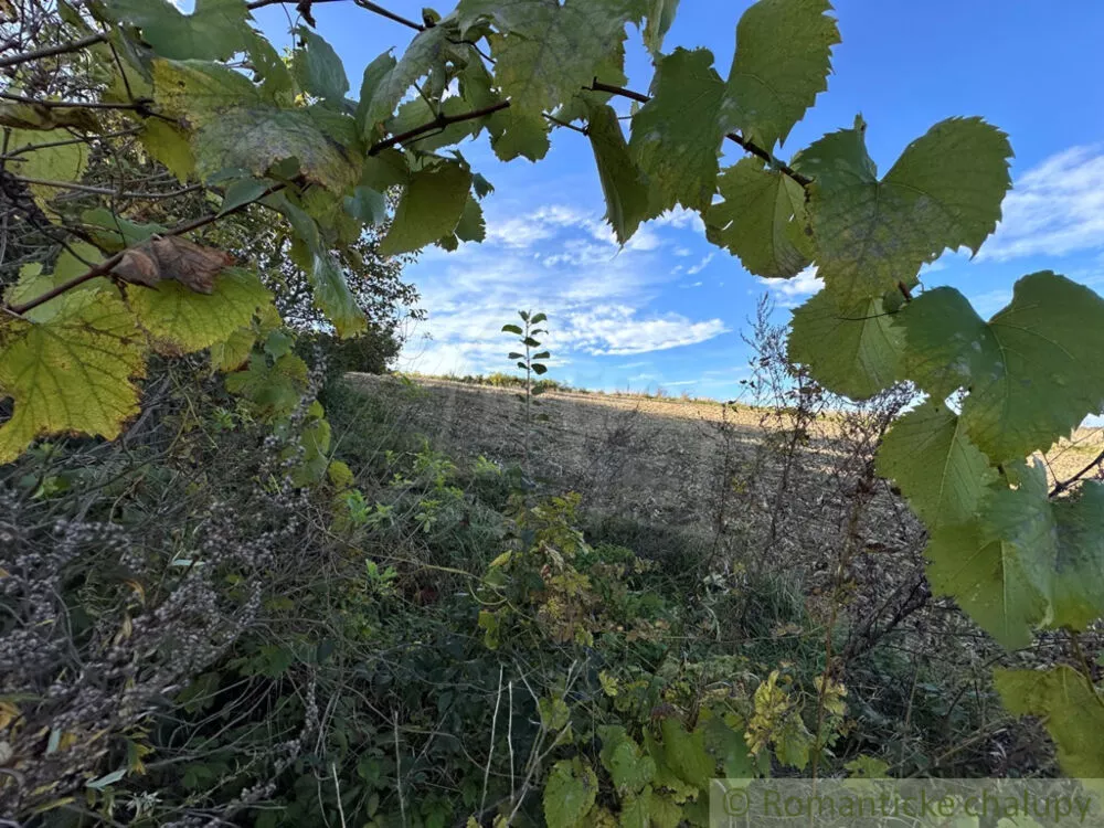 Orná pôda na predaj 11510m2, Radava, 145640_8
