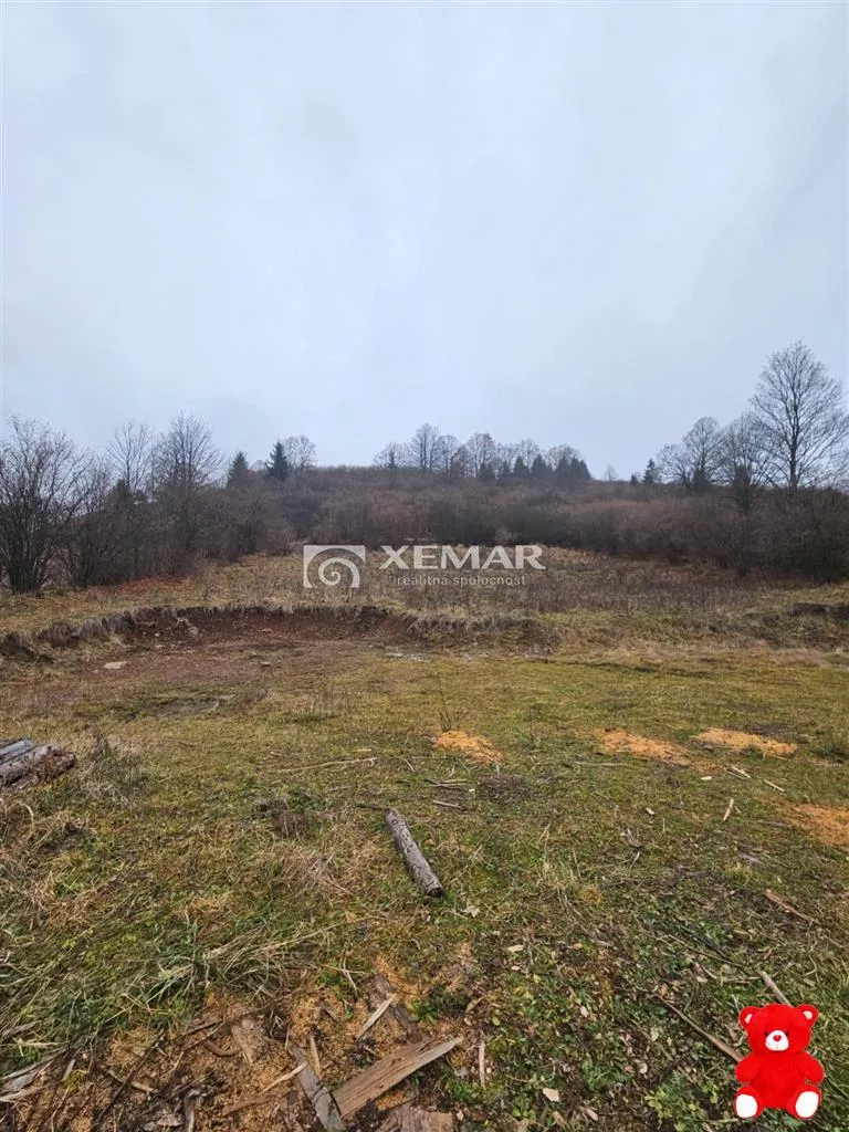 Rodinný dom na predaj 650m2, Turček, 148212_6