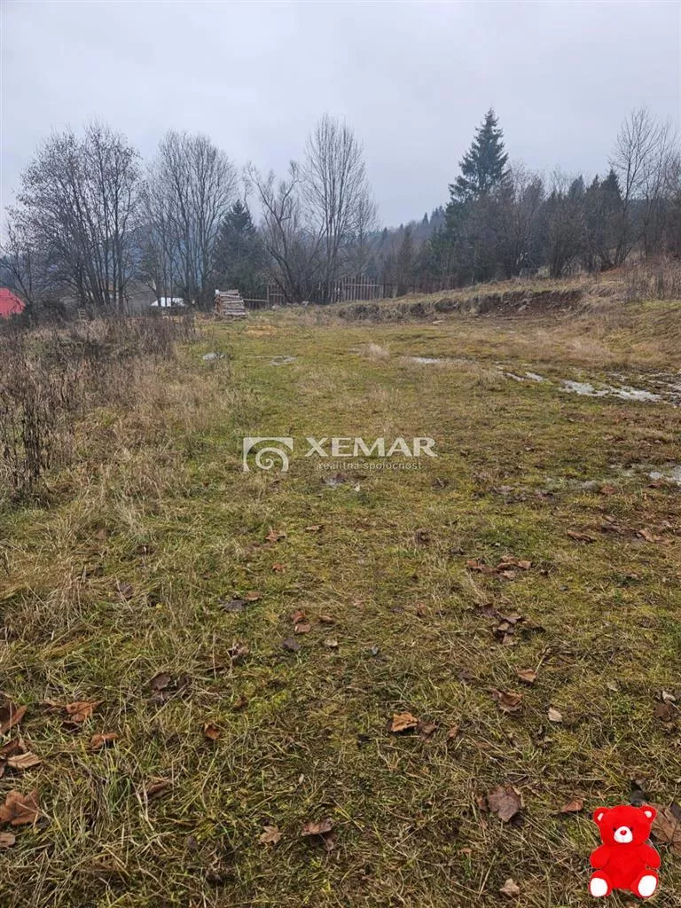 Rodinný dom na predaj 650m2, Turček, 148212_7