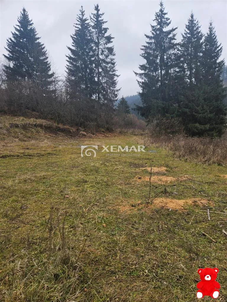 Rodinný dom na predaj 650m2, Turček, 148212_8
