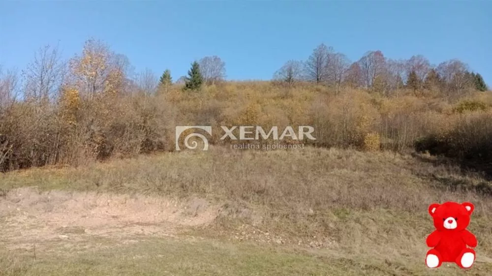 Rodinný dom na predaj 650m2, Turček, 148212_10