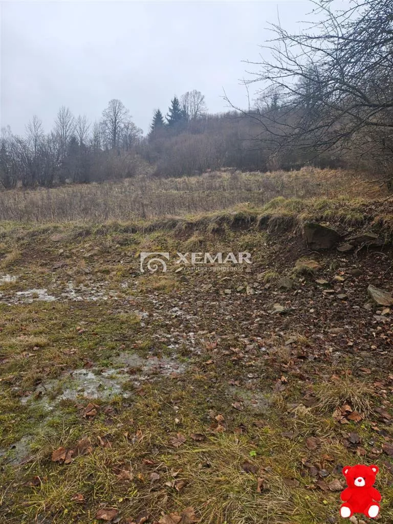 Rodinný dom na predaj 650m2, Turček, 148212_11