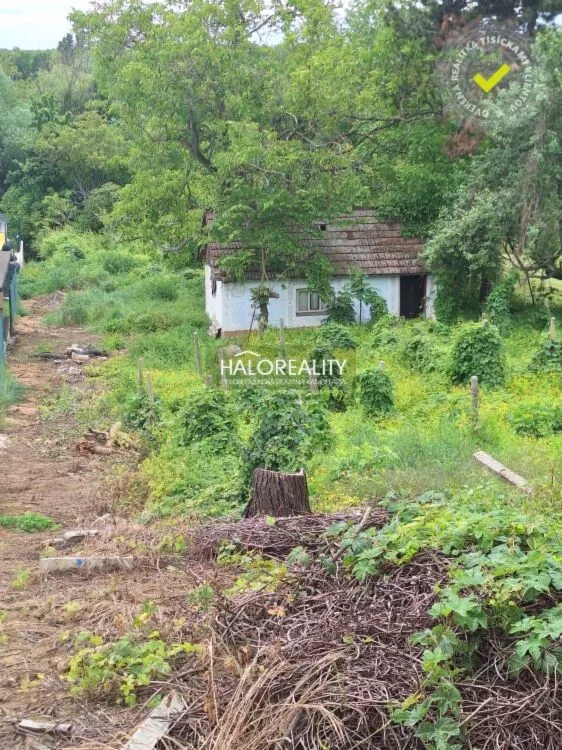 Pozemok pre rod. domy na predaj 1927m2, Šoporňa, 154419_3