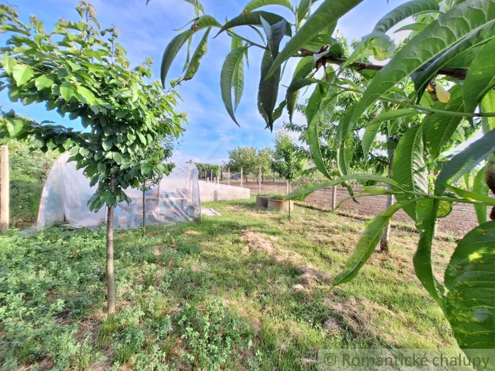 Záhrada na predaj 960m2, Moča, 150527_20