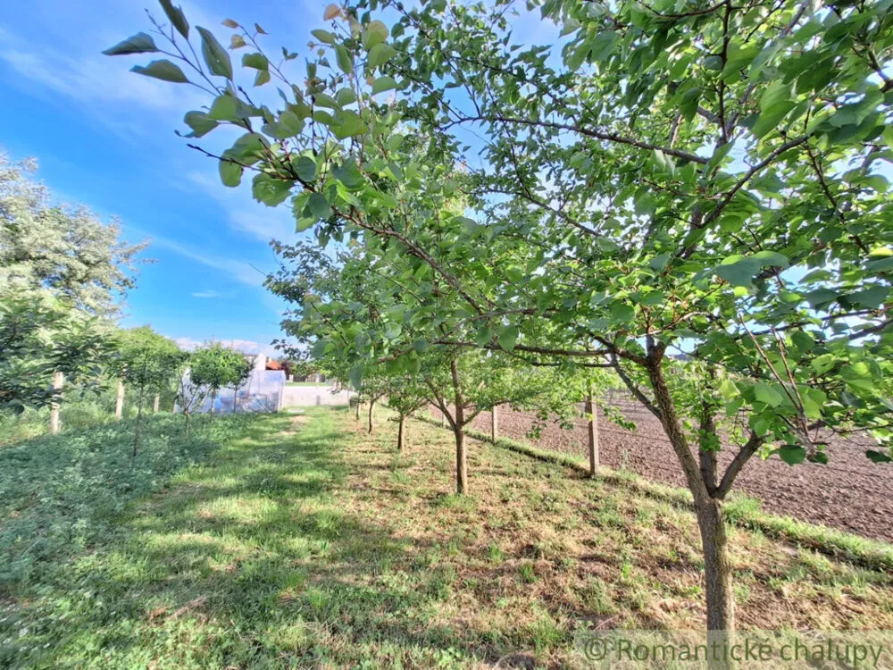 Záhrada na predaj 960m2, Moča, 150527_21