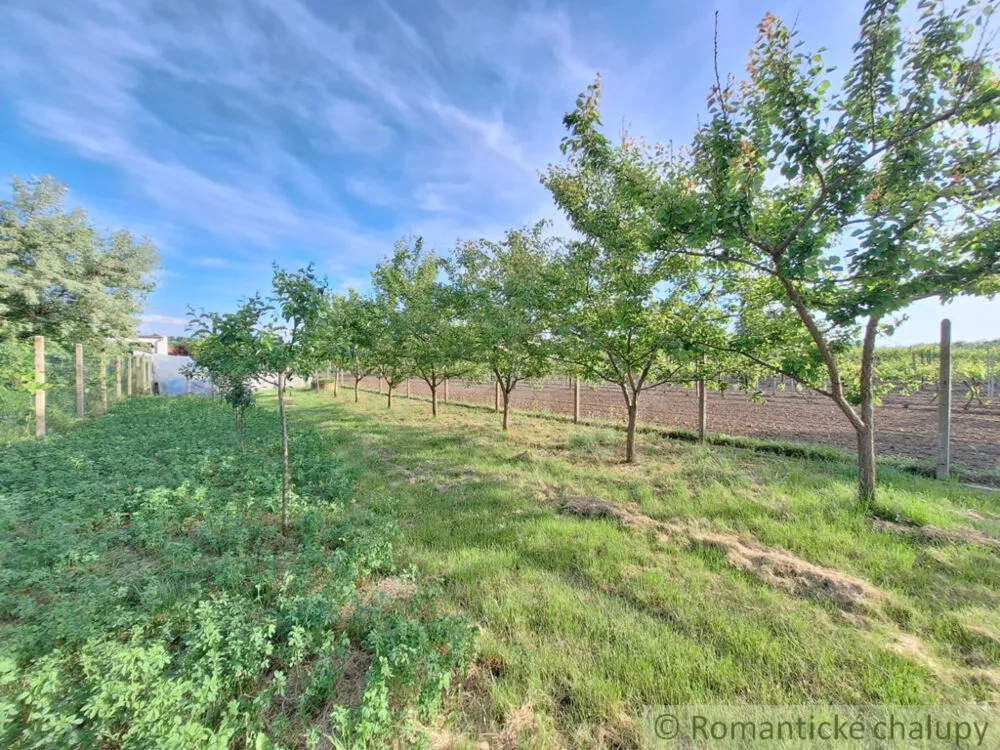 Záhrada na predaj 960m2, Moča, 150527_22