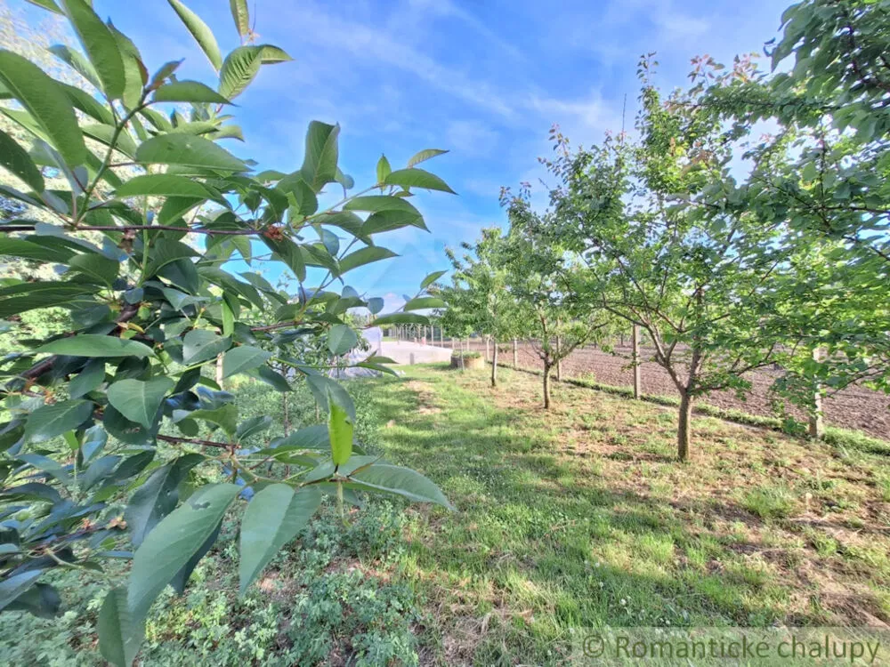Záhrada na predaj 960m2, Moča, 150527_23