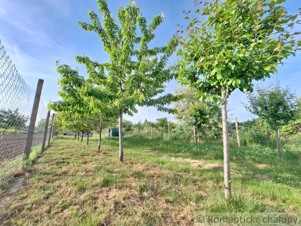 Záhrada na predaj 960m2, Moča, 150527_25
