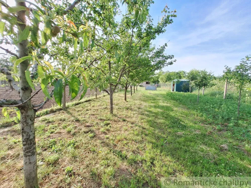 Záhrada na predaj 960m2, Moča, 150527_26