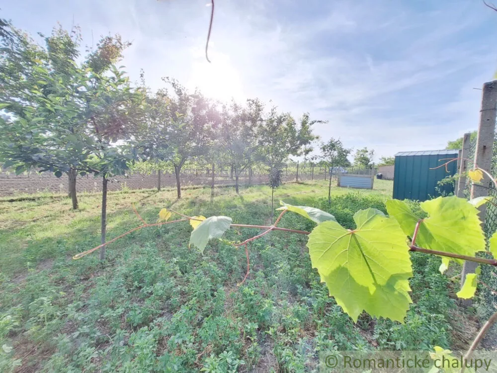 Záhrada na predaj 960m2, Moča, 150527_28