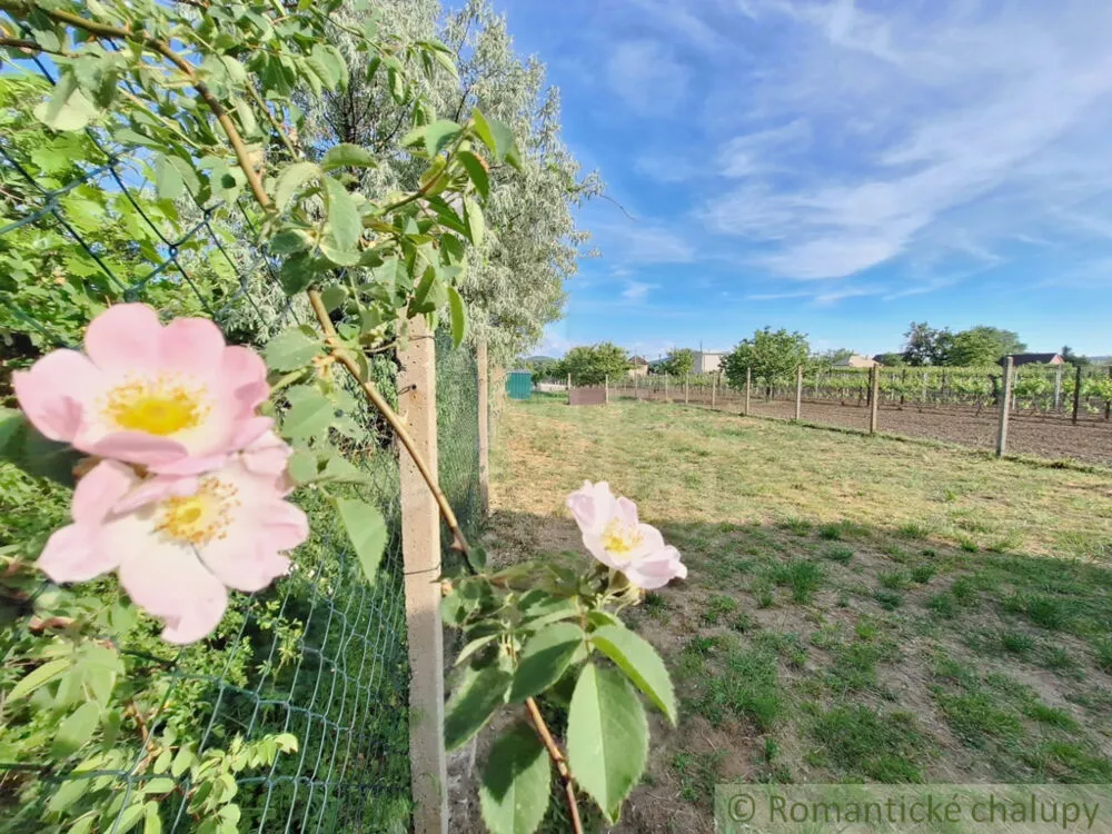 Záhrada na predaj 960m2, Moča, 150527_32