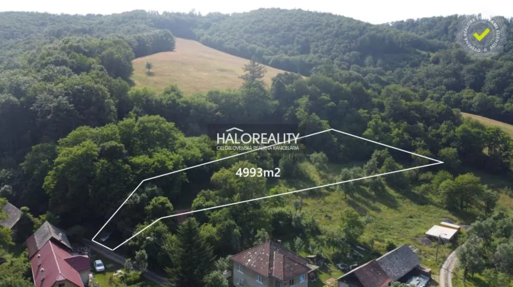 Pozemok pre rod. domy na predaj 4993m2, Hrušovo, 155279_0