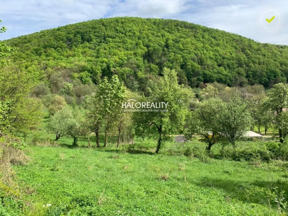 Pozemok pre rod. domy na predaj 4993m2, Hrušovo, 155279_3