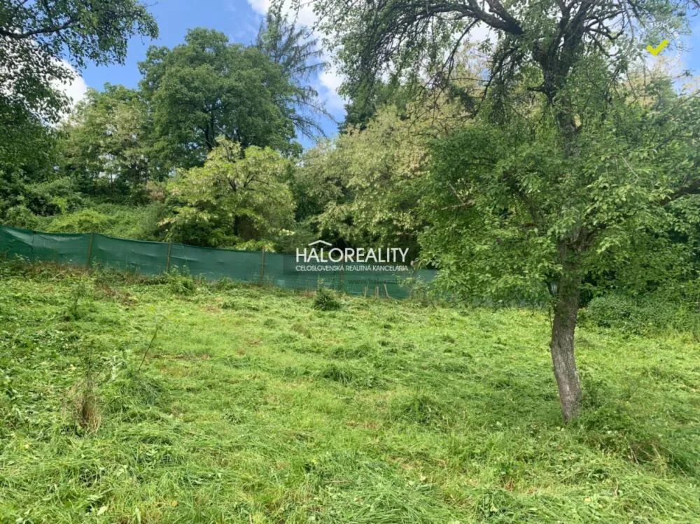 Pozemok pre rod. domy na predaj 4993m2, Hrušovo, 155279_4