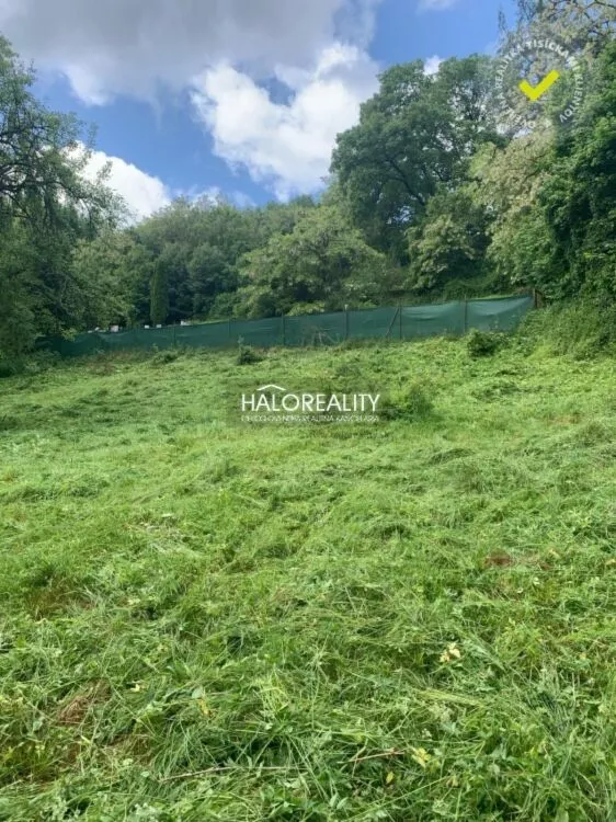 Pozemok pre rod. domy na predaj 4993m2, Hrušovo, 155279_5