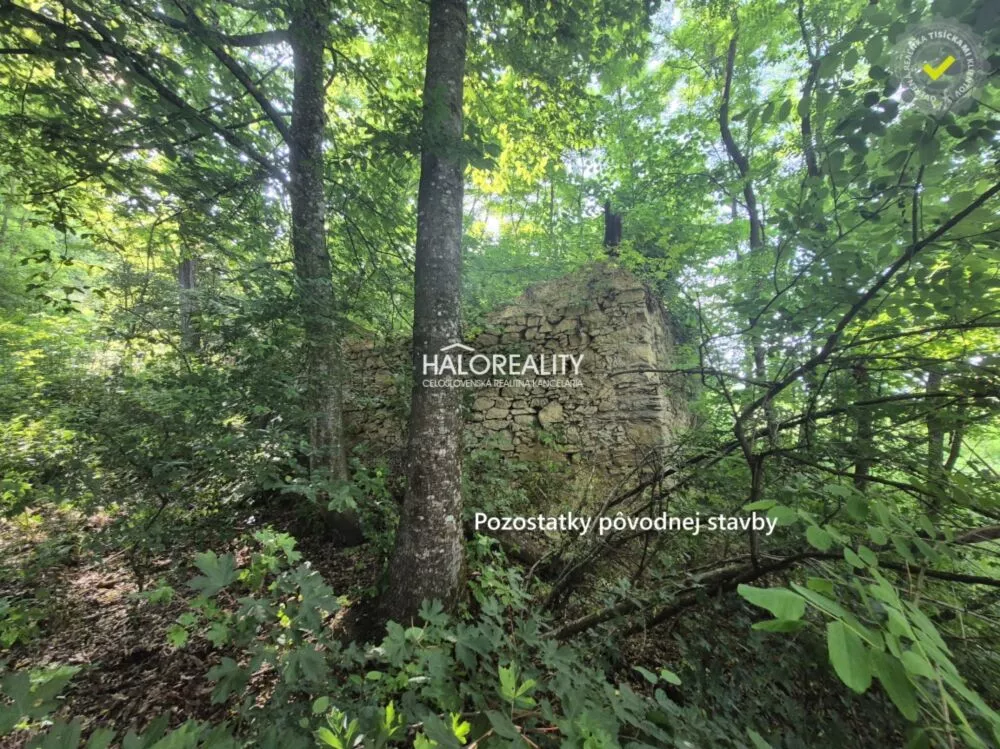 Pozemok pre rod. domy na predaj 4993m2, Hrušovo, 155279_9