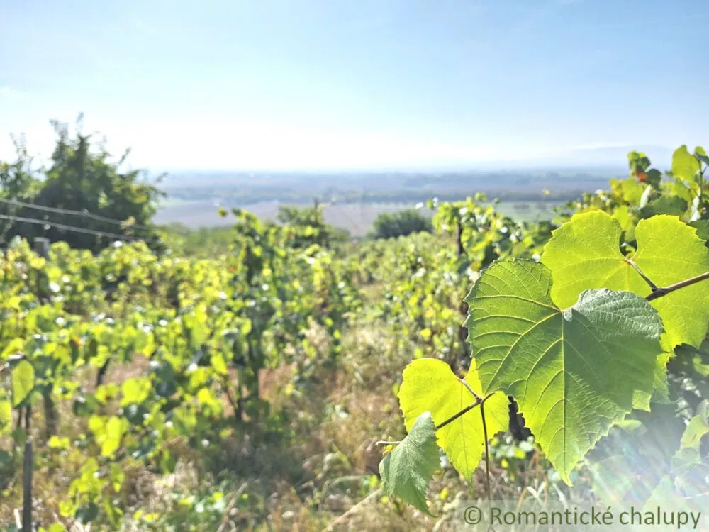 Chata a chalupa na predaj 50m2, Belá, 138175_5