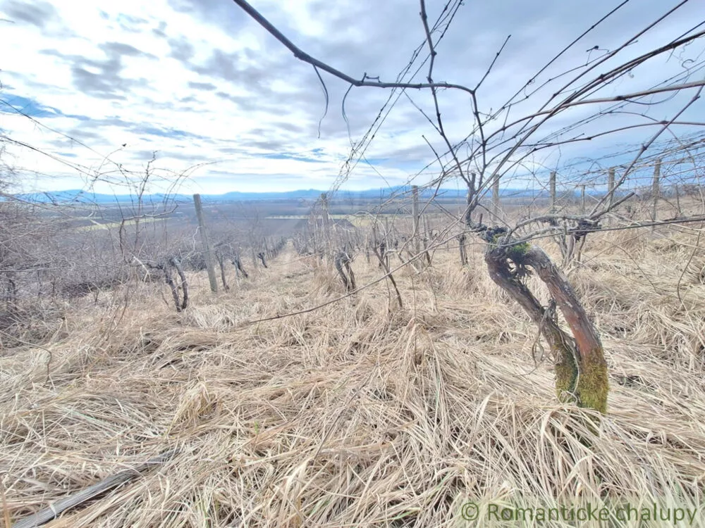 Chata a chalupa na predaj 50m2, Belá, 138175_29