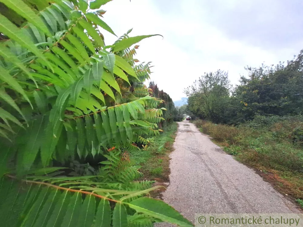 Chata a chalupa na predaj 100m2, Chľaba, 145953_40