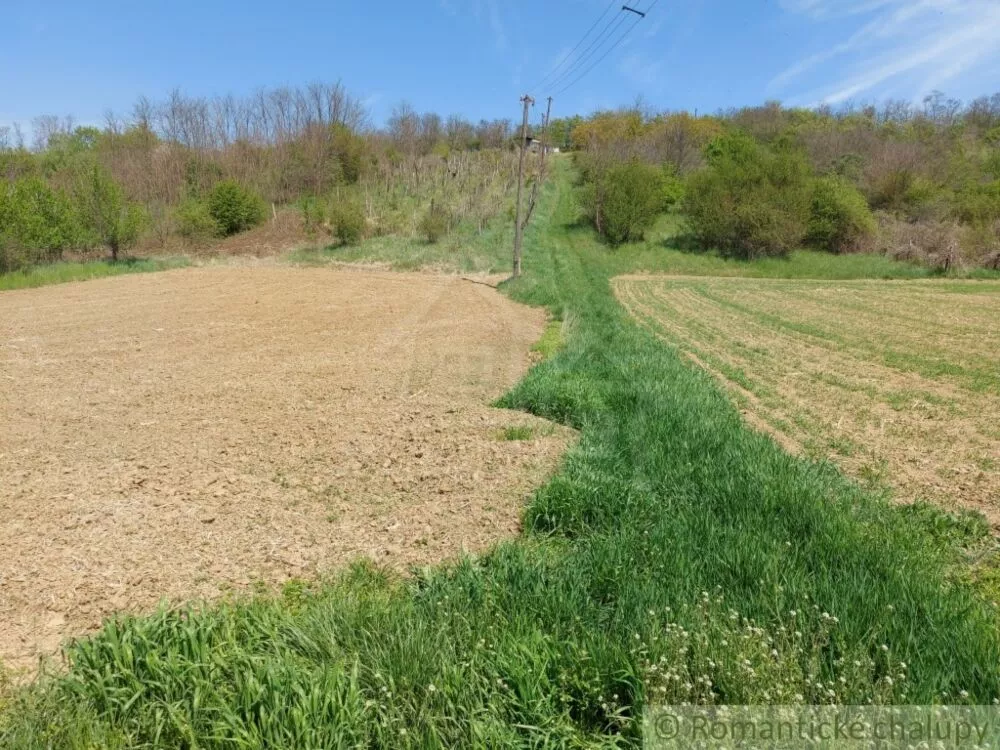 Záhrada na predaj 1677m2, Nová Vieska, 103209_1