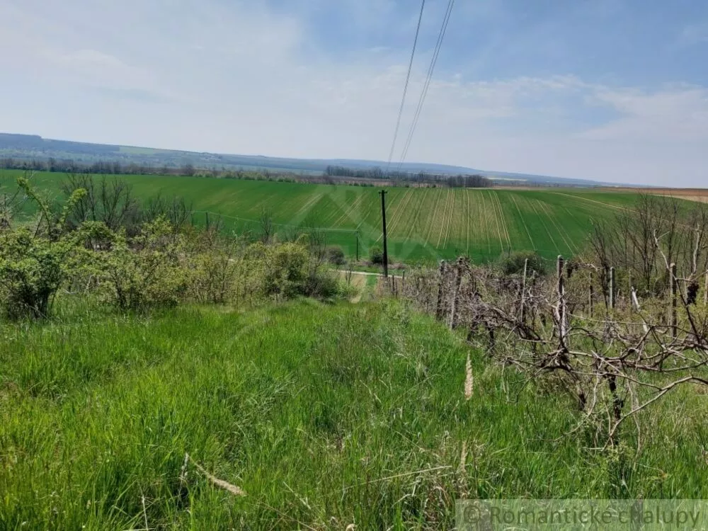 Záhrada na predaj 1677m2, Nová Vieska, 103209_4