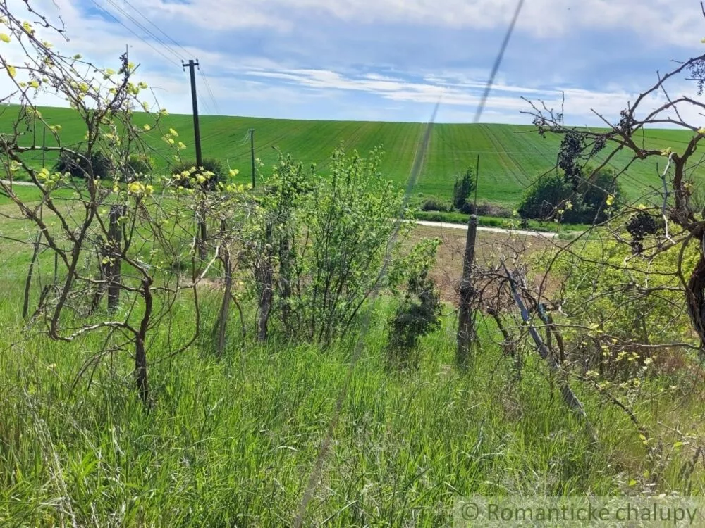 Záhrada na predaj 1677m2, Nová Vieska, 103209_11