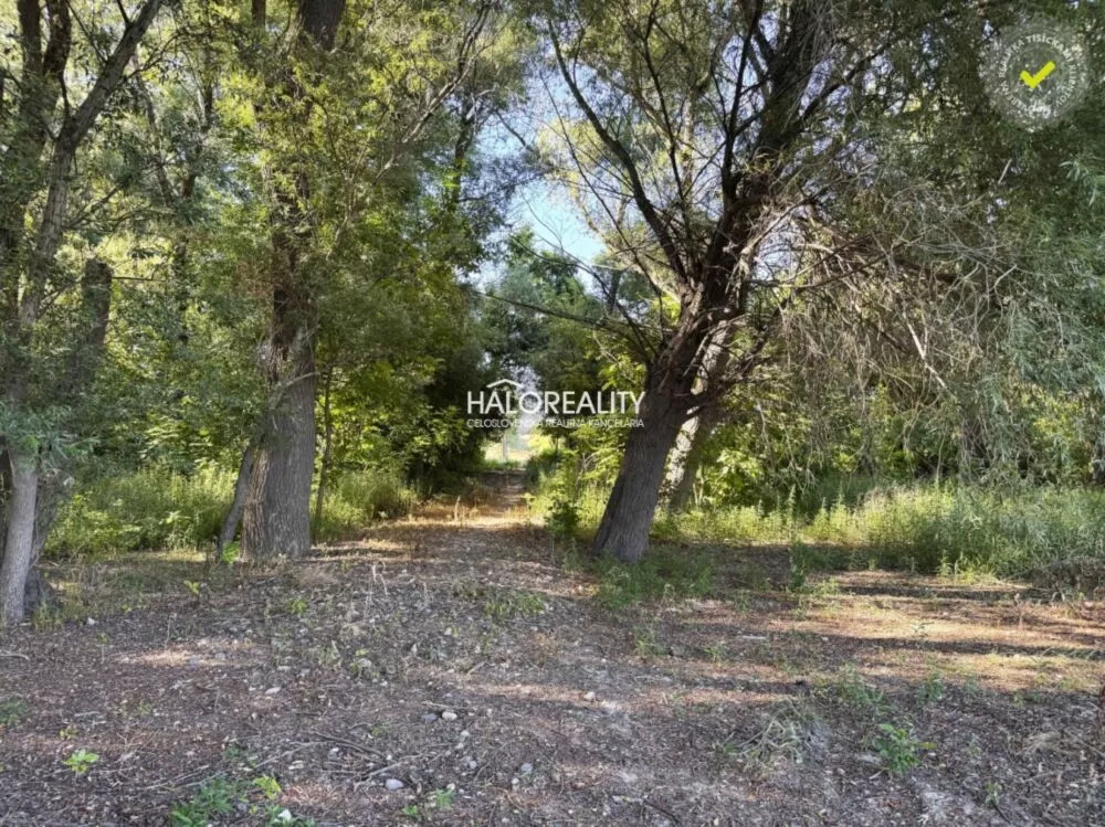 1,5 izbový byt na predaj 35m2, Radvaň nad Dunajom, 155966_10