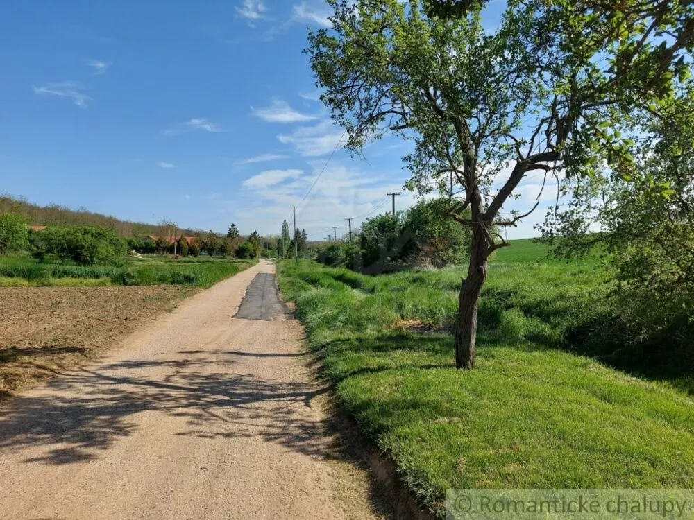 Záhrada na predaj 3281m2, Nová Vieska, 103213_1