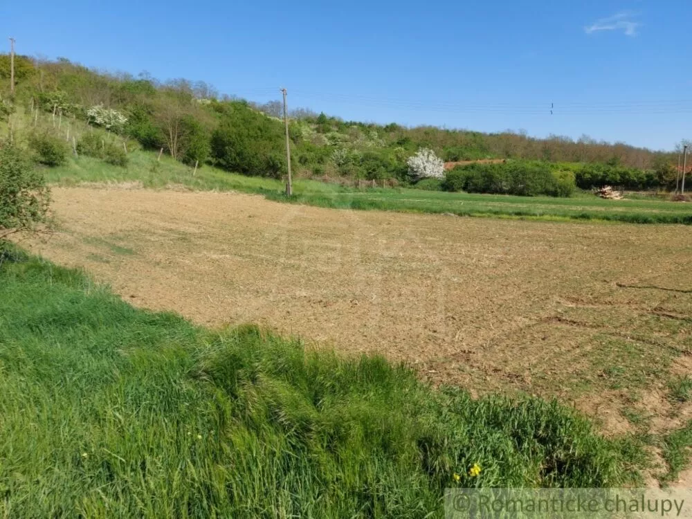 Záhrada na predaj 3281m2, Nová Vieska, 103213_3