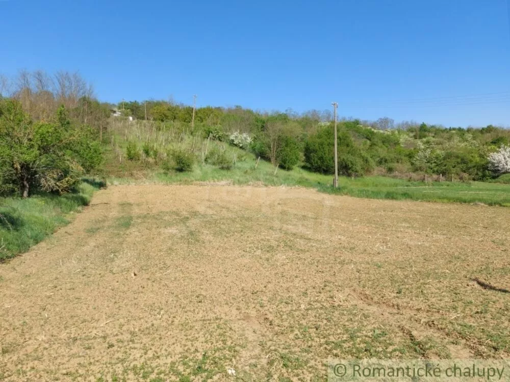 Záhrada na predaj 3281m2, Nová Vieska, 103213_4