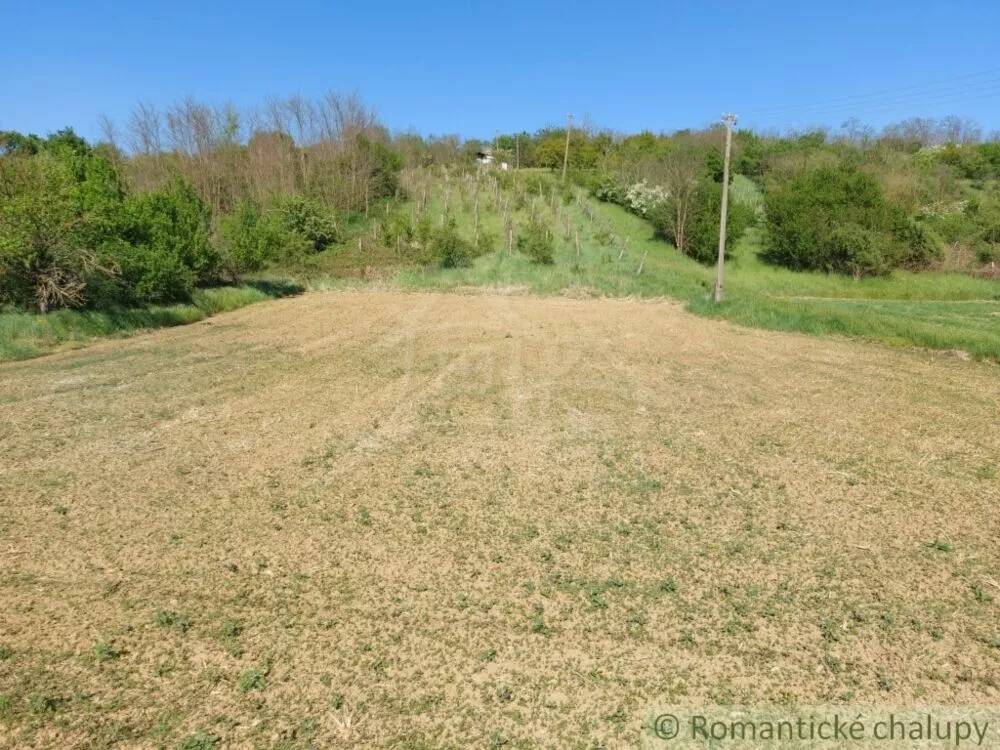 Záhrada na predaj 3281m2, Nová Vieska, 103213_5