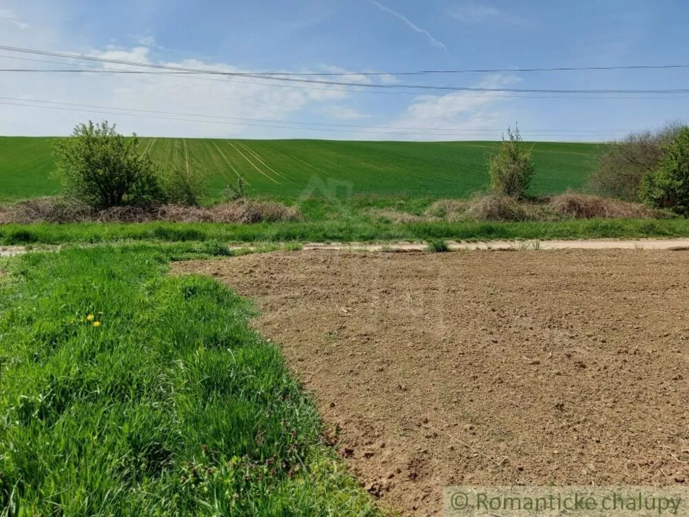 Záhrada na predaj 3281m2, Nová Vieska, 103213_6