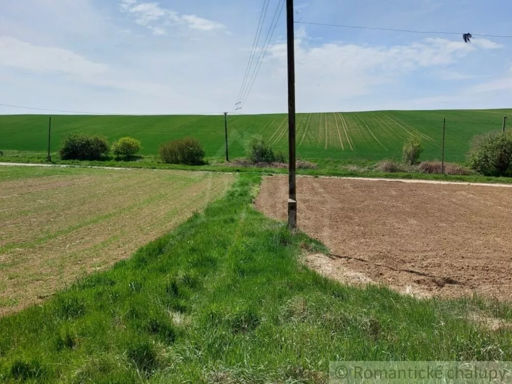 Záhrada na predaj 3281m2, Nová Vieska, 103213_7