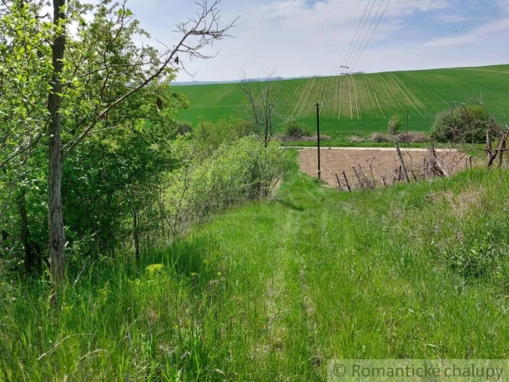 Záhrada na predaj 3281m2, Nová Vieska, 103213_8