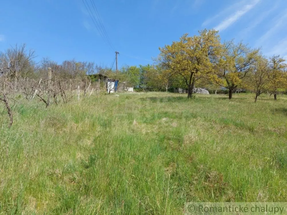 Záhrada na predaj 3281m2, Nová Vieska, 103213_13