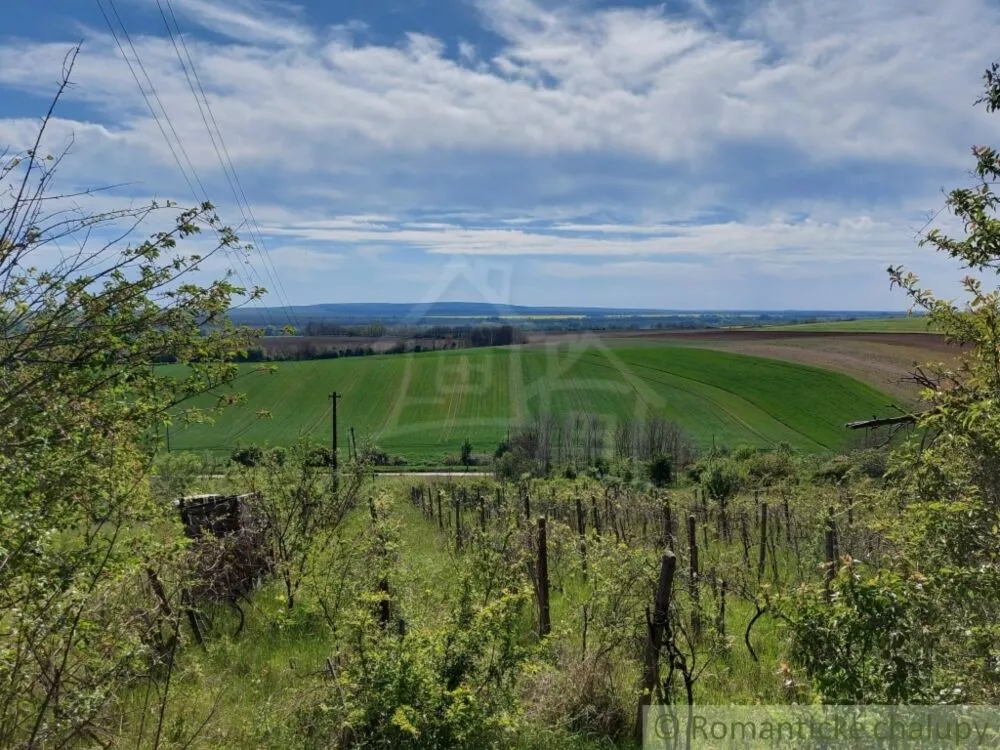 Záhrada na predaj 3281m2, Nová Vieska, 103213_23